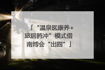 “温泉医康养+旅居腾冲”模式借南博会“出圈”