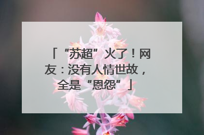“苏超”火了！网友：没有人情世故，全是“恩怨”