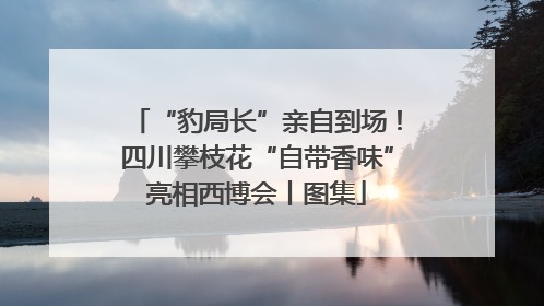 “豹局长”亲自到场！四川攀枝花“自带香味”亮相西博会丨图集