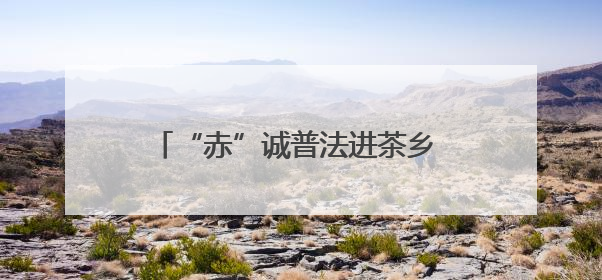 “赤”诚普法进茶乡 “心”系古镇护文脉