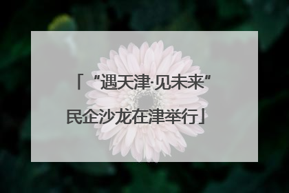“遇天津·见未来”民企沙龙在津举行