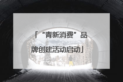 “青新消费”品牌创建活动启动