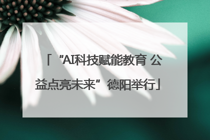 “AI科技赋能教育 公益点亮未来”德阳举行