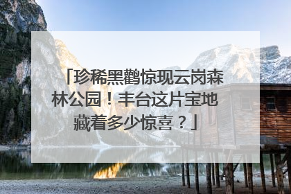 珍稀黑鹳惊现云岗森林公园！丰台这片宝地藏着多少惊喜？