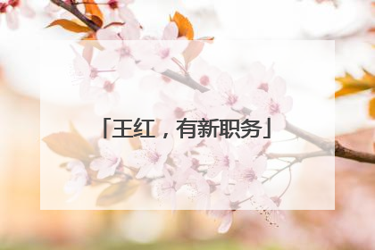 王红，有新职务