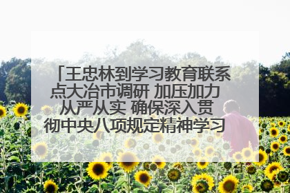 王忠林到学习教育联系点大冶市调研 加压加力 从严从实 确保深入贯彻中央八项规定精神学习教育取得实效