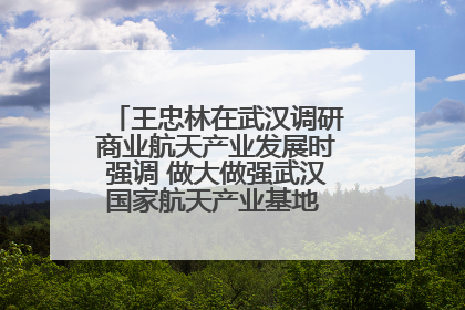 王忠林在武汉调研商业航天产业发展时强调 做大做强武汉国家航天产业基地 打造具有全国影响力的“中国星谷”