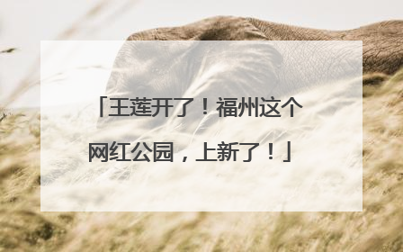 王莲开了！福州这个网红公园，上新了！