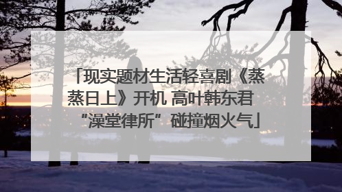 现实题材生活轻喜剧《蒸蒸日上》开机 高叶韩东君“澡堂律所”碰撞烟火气