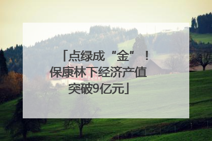 点绿成“金”！保康林下经济产值突破9亿元