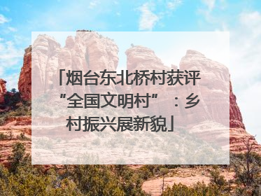 烟台东北桥村获评“全国文明村”：乡村振兴展新貌