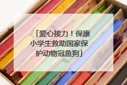 爱心接力！保康小学生救助国家保护动物冠鱼狗