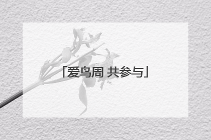 爱鸟周 共参与