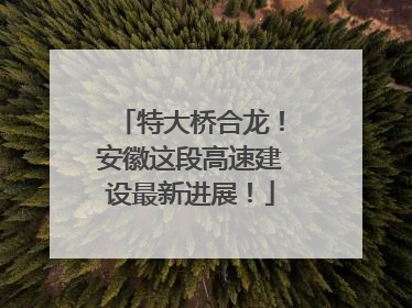 特大桥合龙！安徽这段高速建设最新进展！