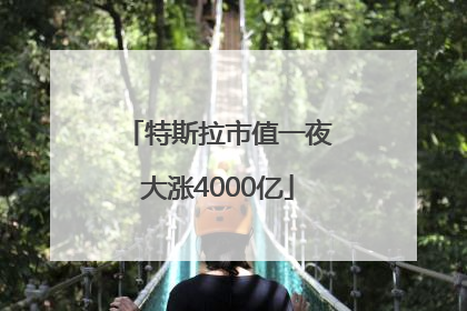 特斯拉市值一夜大涨4000亿