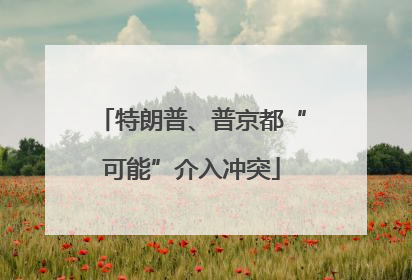 特朗普、普京都“可能”介入冲突