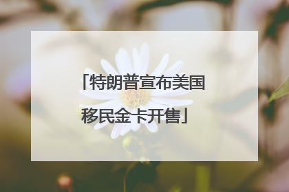 特朗普宣布美国移民金卡开售
