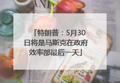 特朗普：5月30日将是马斯克在政府效率部最后一天