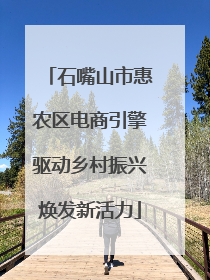 石嘴山市惠农区电商引擎驱动乡村振兴焕发新活力