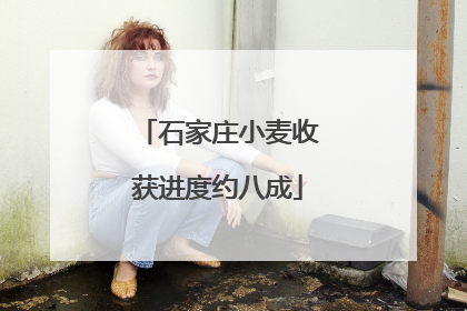 石家庄小麦收获进度约八成