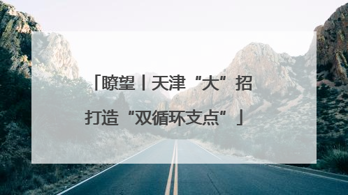 瞭望丨天津“大”招打造“双循环支点”