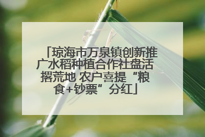 琼海市万泉镇创新推广水稻种植合作社盘活撂荒地 农户喜提“粮食+钞票”分红