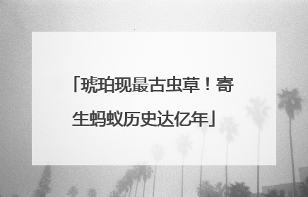 琥珀现最古虫草！寄生蚂蚁历史达亿年