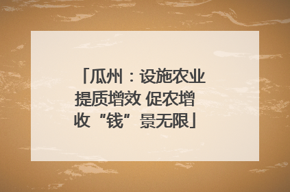瓜州：设施农业提质增效 促农增收“钱”景无限