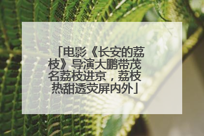 电影《长安的荔枝》导演大鹏带茂名荔枝进京，荔枝热甜透荧屏内外