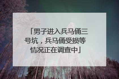 男子进入兵马俑三号坑，兵马俑受损等情况正在调查中
