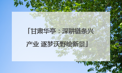 甘肃华亭：深耕链条兴产业 逐梦沃野绘新景