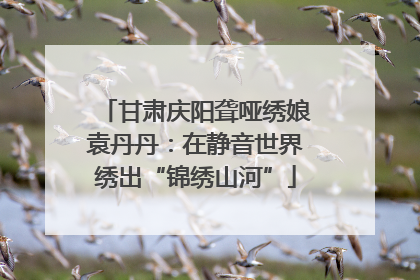 甘肃庆阳聋哑绣娘袁丹丹：在静音世界绣出“锦绣山河”