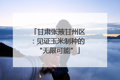 甘肃张掖甘州区：见证玉米制种的“无限可能”
