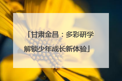 甘肃金昌：多彩研学解锁少年成长新体验