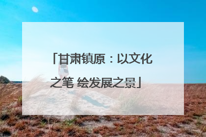 甘肃镇原：以文化之笔 绘发展之景