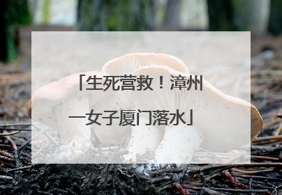 生死营救！漳州一女子厦门落水