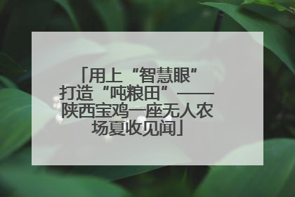 用上“智慧眼” 打造“吨粮田”——陕西宝鸡一座无人农场夏收见闻