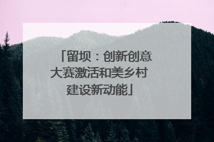 留坝：创新创意大赛激活和美乡村建设新动能