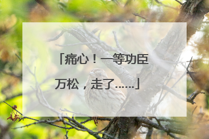痛心！一等功臣万松，走了……