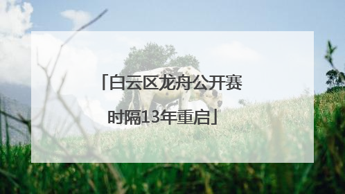 白云区龙舟公开赛时隔13年重启