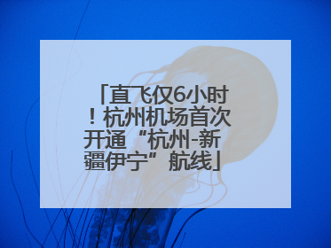 直飞仅6小时！杭州机场首次开通“杭州-新疆伊宁”航线