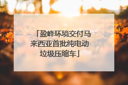 盈峰环境交付马来西亚首批纯电动垃圾压缩车