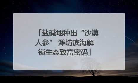 盐碱地种出“沙漠人参” 潍坊滨海解锁生态致富密码