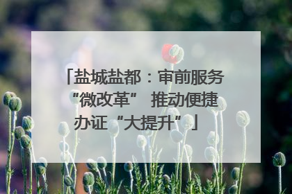 盐城盐都：审前服务“微改革” 推动便捷办证“大提升”