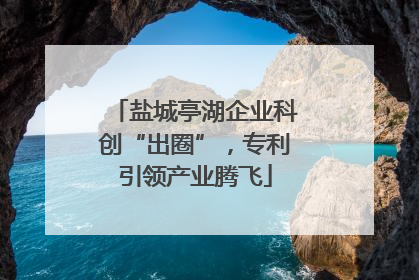 盐城亭湖企业科创“出圈”，专利引领产业腾飞
