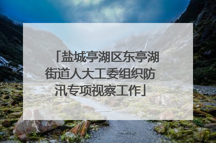 盐城亭湖区东亭湖街道人大工委组织防汛专项视察工作