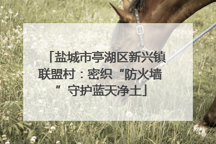 盐城市亭湖区新兴镇联盟村：密织“防火墙”守护蓝天净土