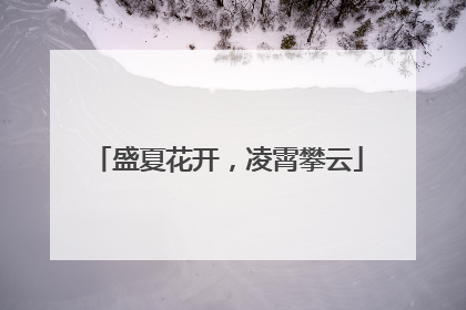 盛夏花开，凌霄攀云