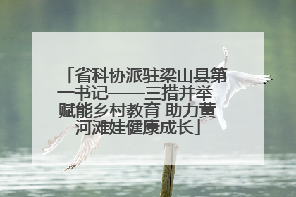 省科协派驻梁山县第一书记——三措并举 赋能乡村教育 助力黄河滩娃健康成长