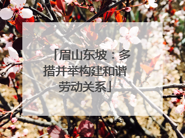眉山东坡：多措并举构建和谐劳动关系